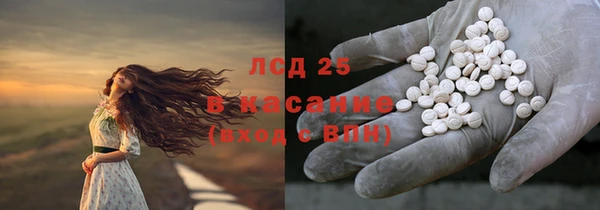 a pvp Алзамай