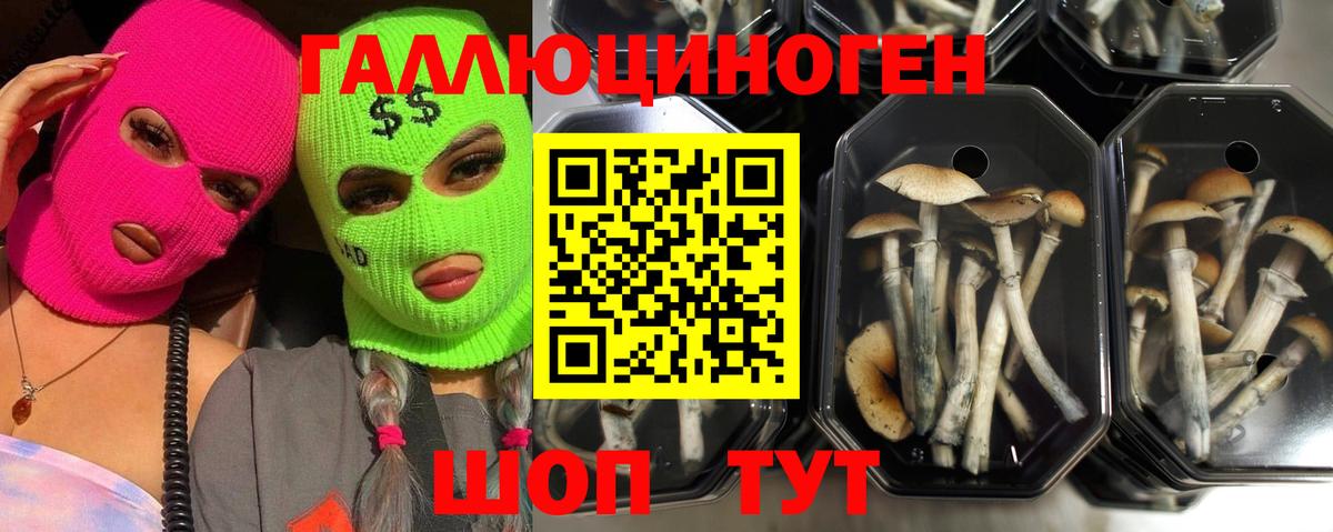 Лобня  Галлюциногенные грибы MAGIC MUSHROOMS  Псилоцибиновые грибы ЛСД  Вход с VPN 